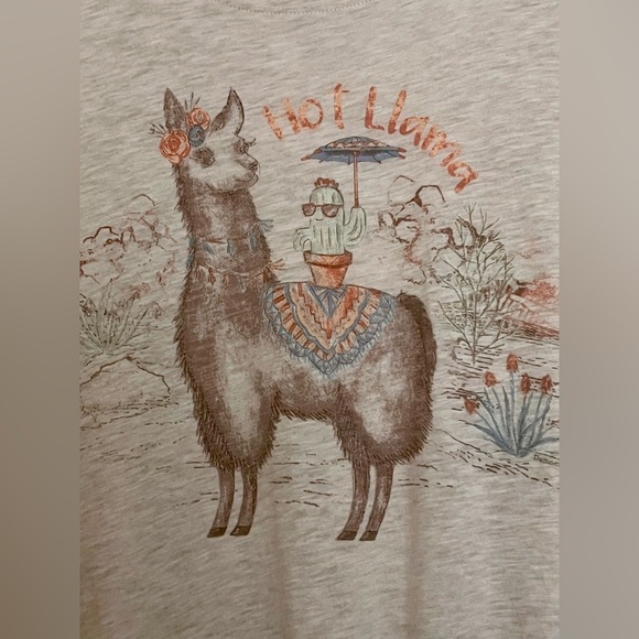 Democracy Womens XL Llama Graphic Tie Front Short Sleeve Tee - Picture 3 of 10